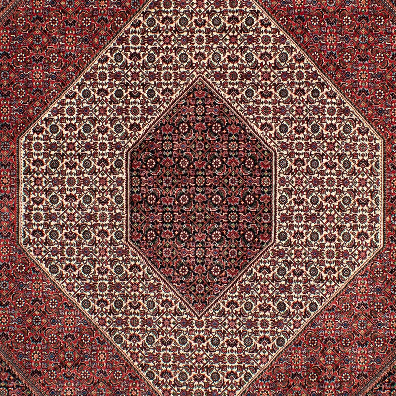 Perserteppich - Bidjar 300 x 206 cm