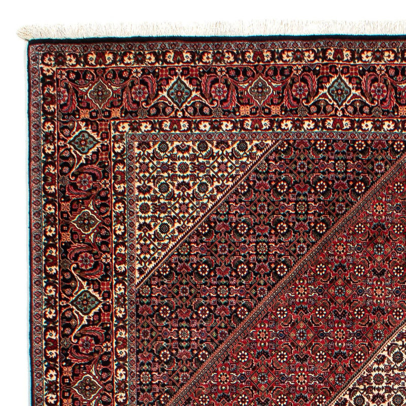 Perserteppich - Bidjar 300 x 206 cm
