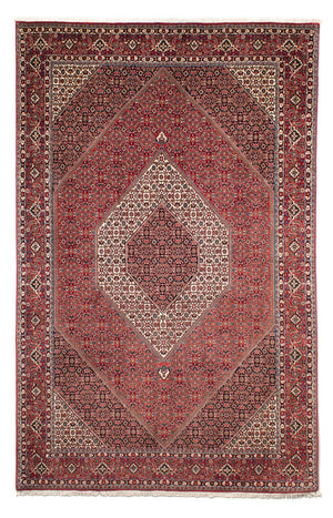 Perserteppich - Bidjar 300 x 203 cm