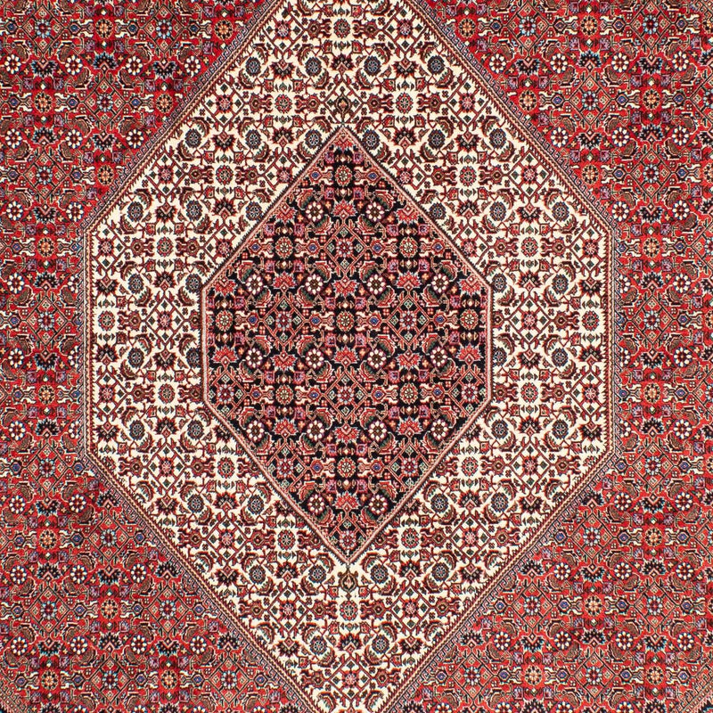 Perserteppich - Bidjar 300 x 203 cm