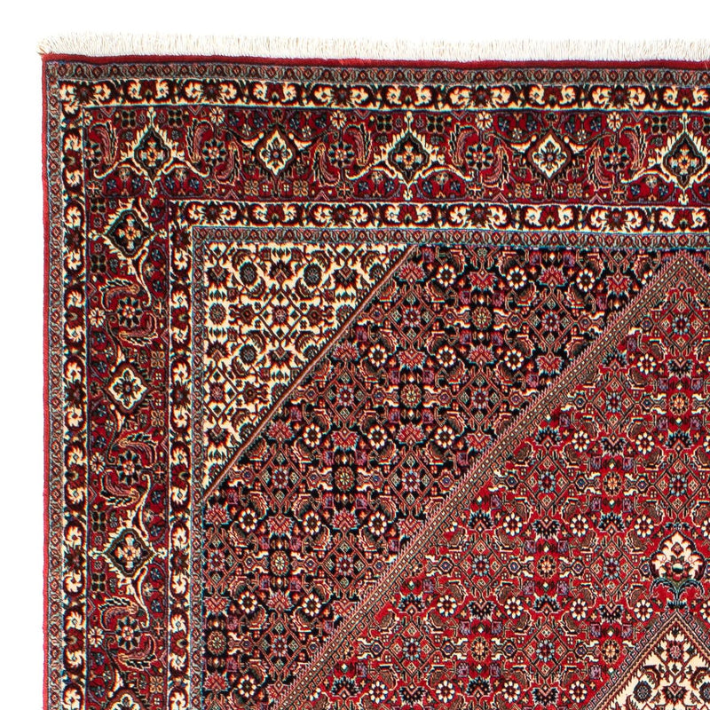 Perserteppich - Bidjar 300 x 203 cm