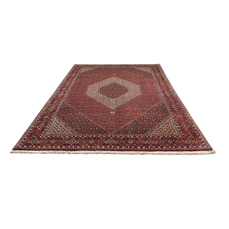Perserteppich - Bidjar 300 x 203 cm