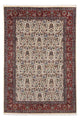 Perserteppich - Classic 289 x 194 cm