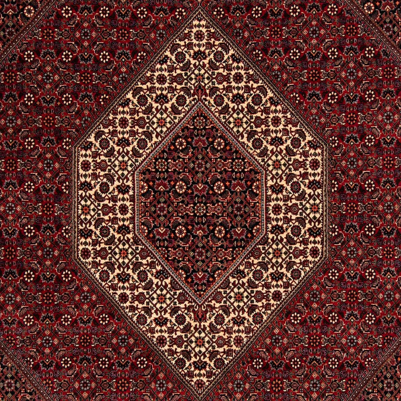Perserteppich - Bidjar 247 x 202 cm