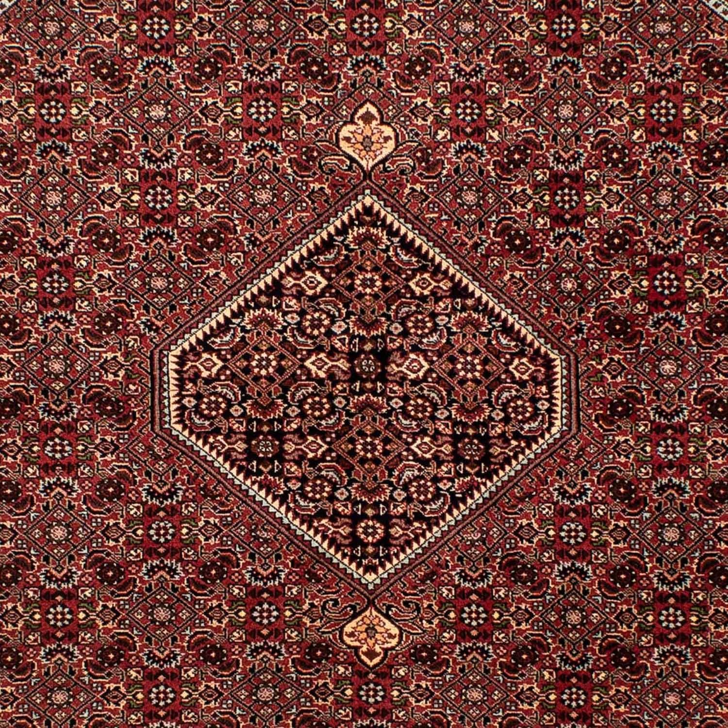 Perserteppich - Bidjar 242 x 170 cm