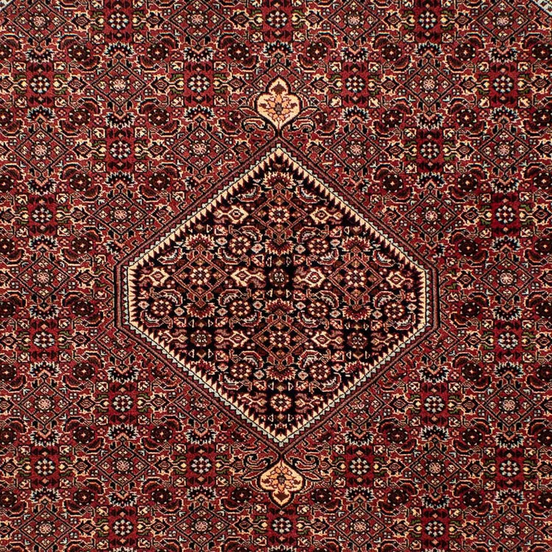 Perserteppich - Bidjar 242 x 170 cm