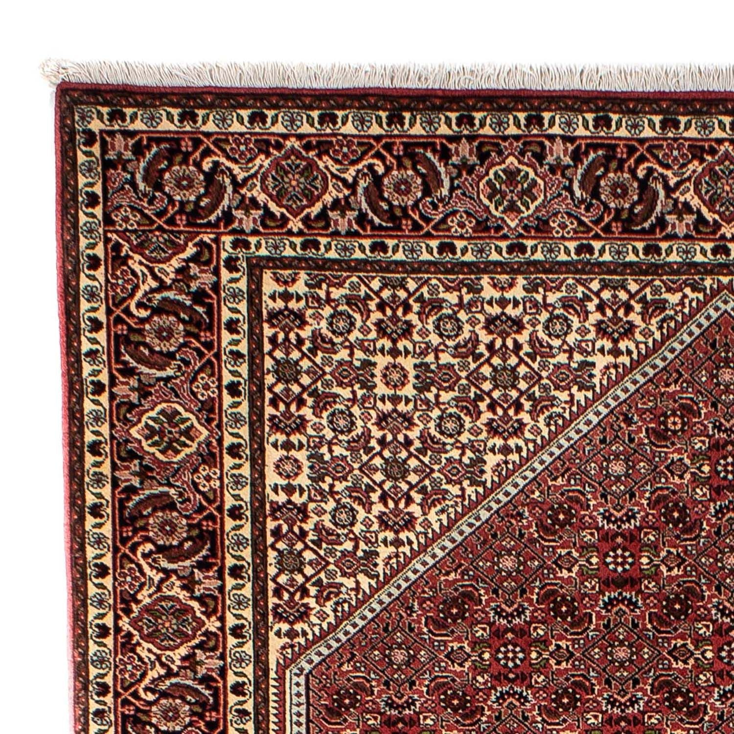 Perserteppich - Bidjar 242 x 170 cm