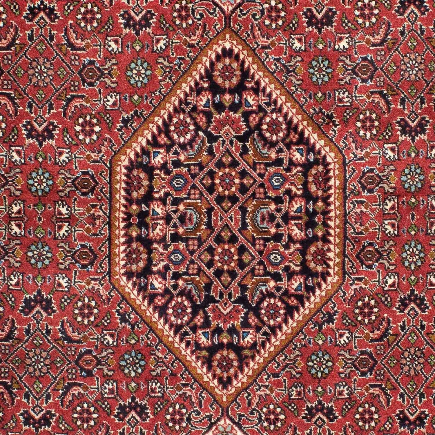 Perserteppich - Bidjar 224 x 141 cm