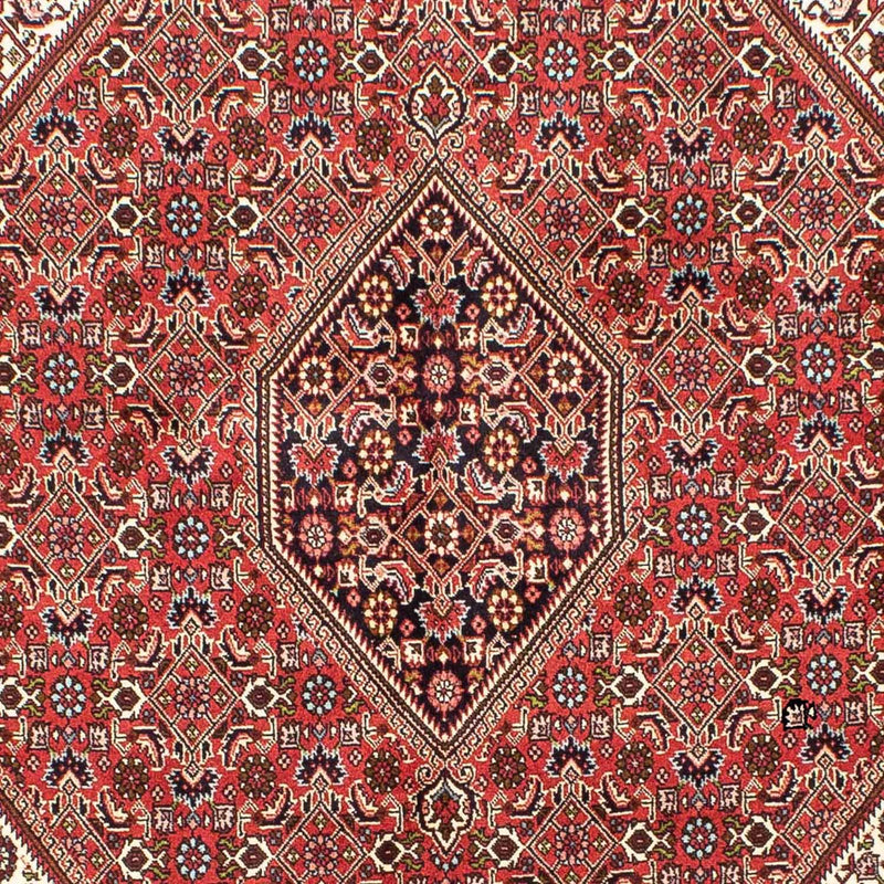 Perserteppich - Bidjar 245 x 172 cm