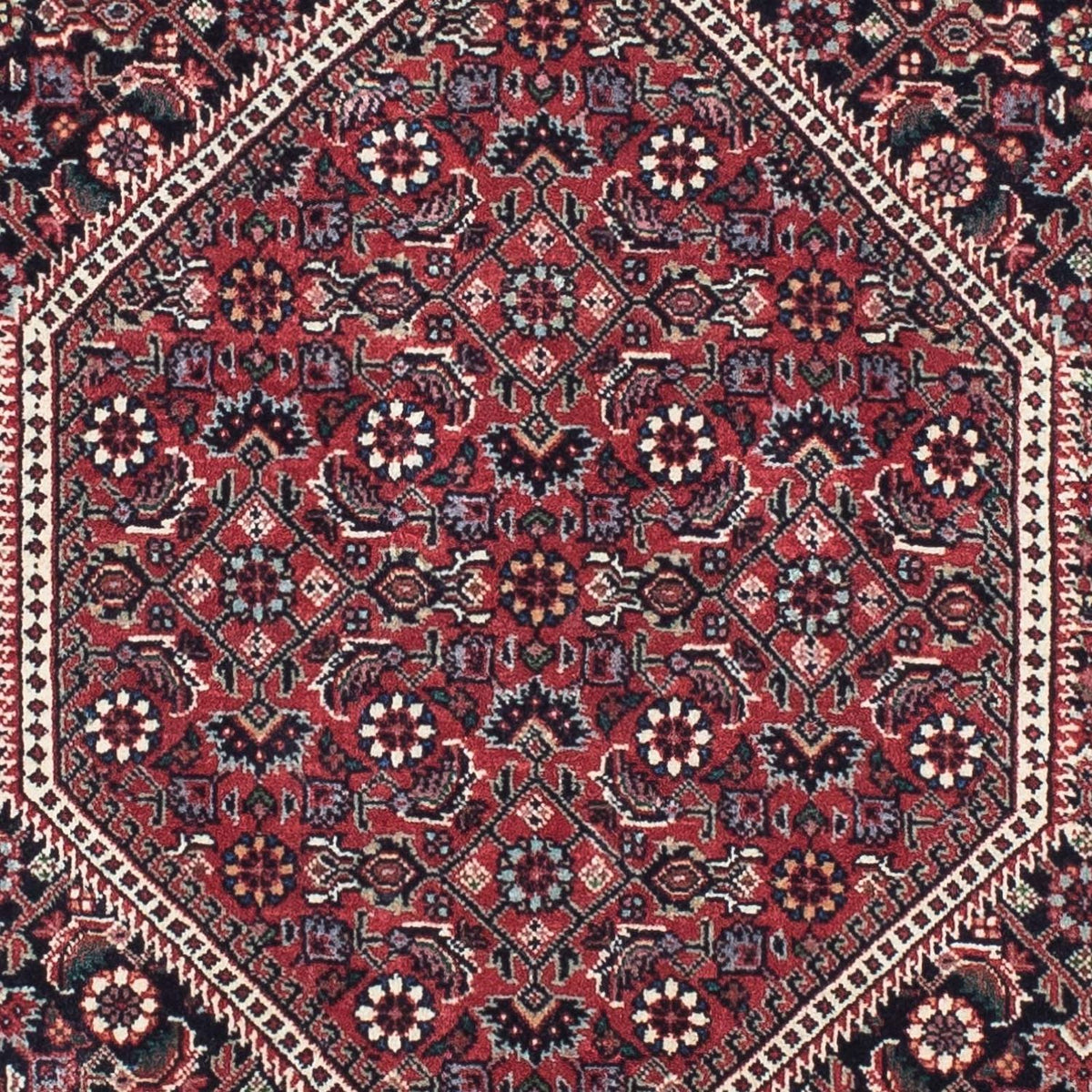 Perserteppich - Bidjar - Royal 207 x 74 cm