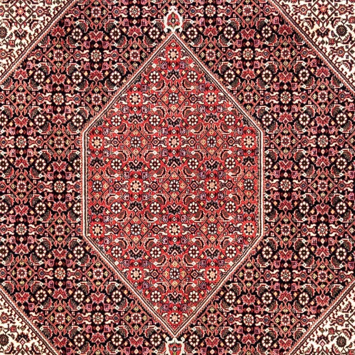 Perserteppich - Bidjar - Royal 349 x 252 cm