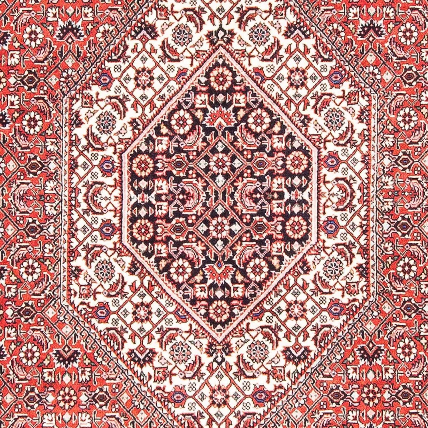 Perserteppich - Bidjar - Royal 176 x 112 cm