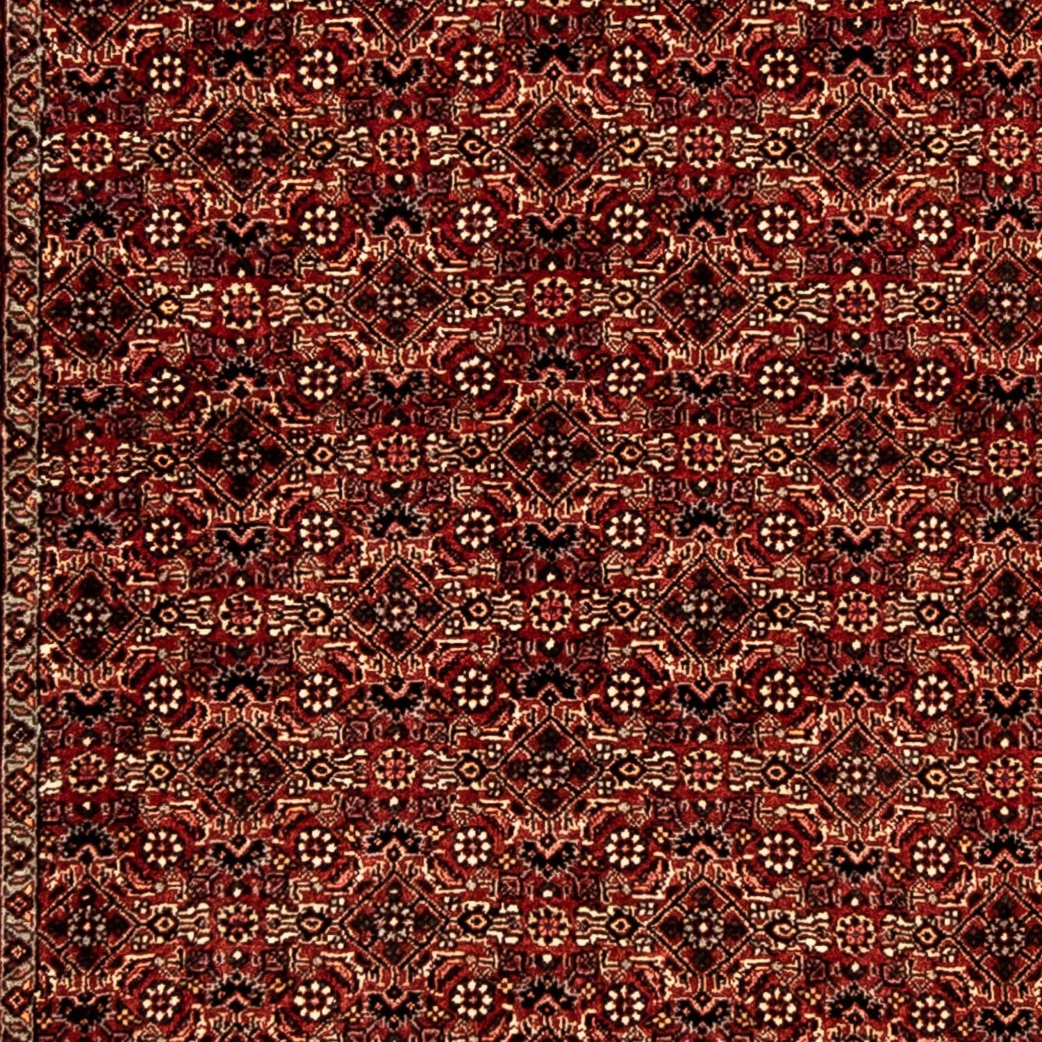 Perserteppich - Bidjar 305 x 86 cm