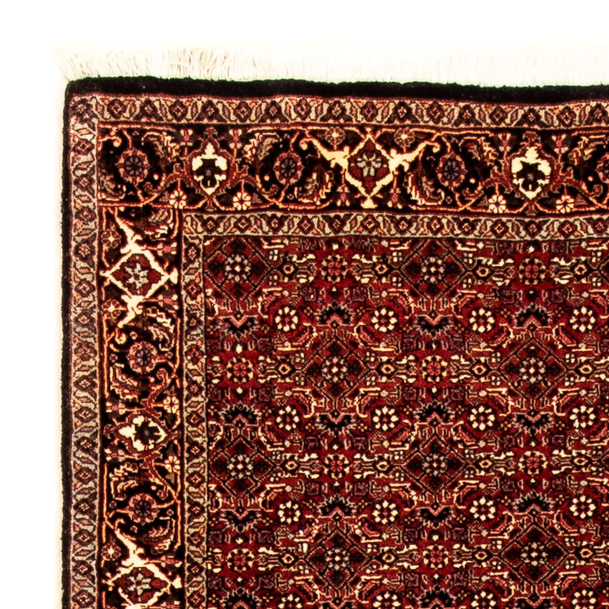 Perserteppich - Bidjar 305 x 86 cm