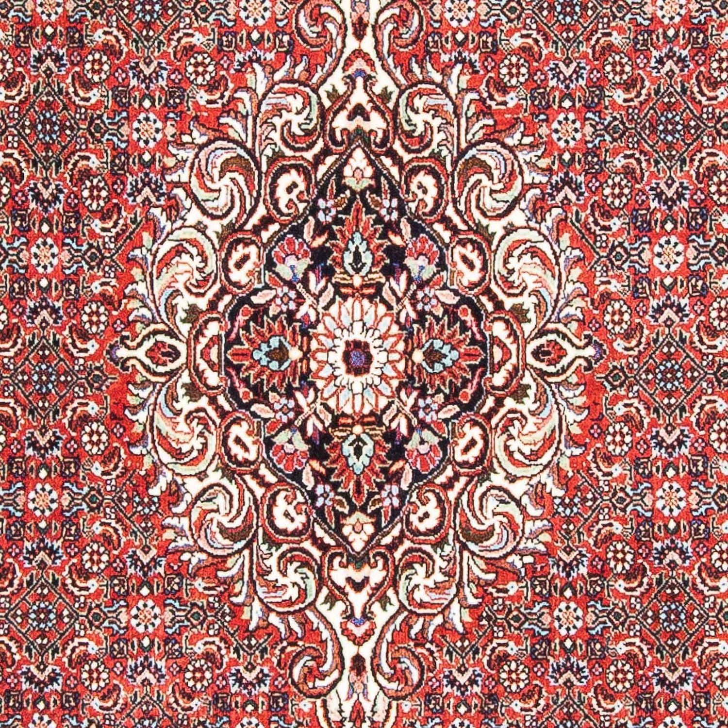 Perserteppich - Bidjar - Royal 169 x 112 cm