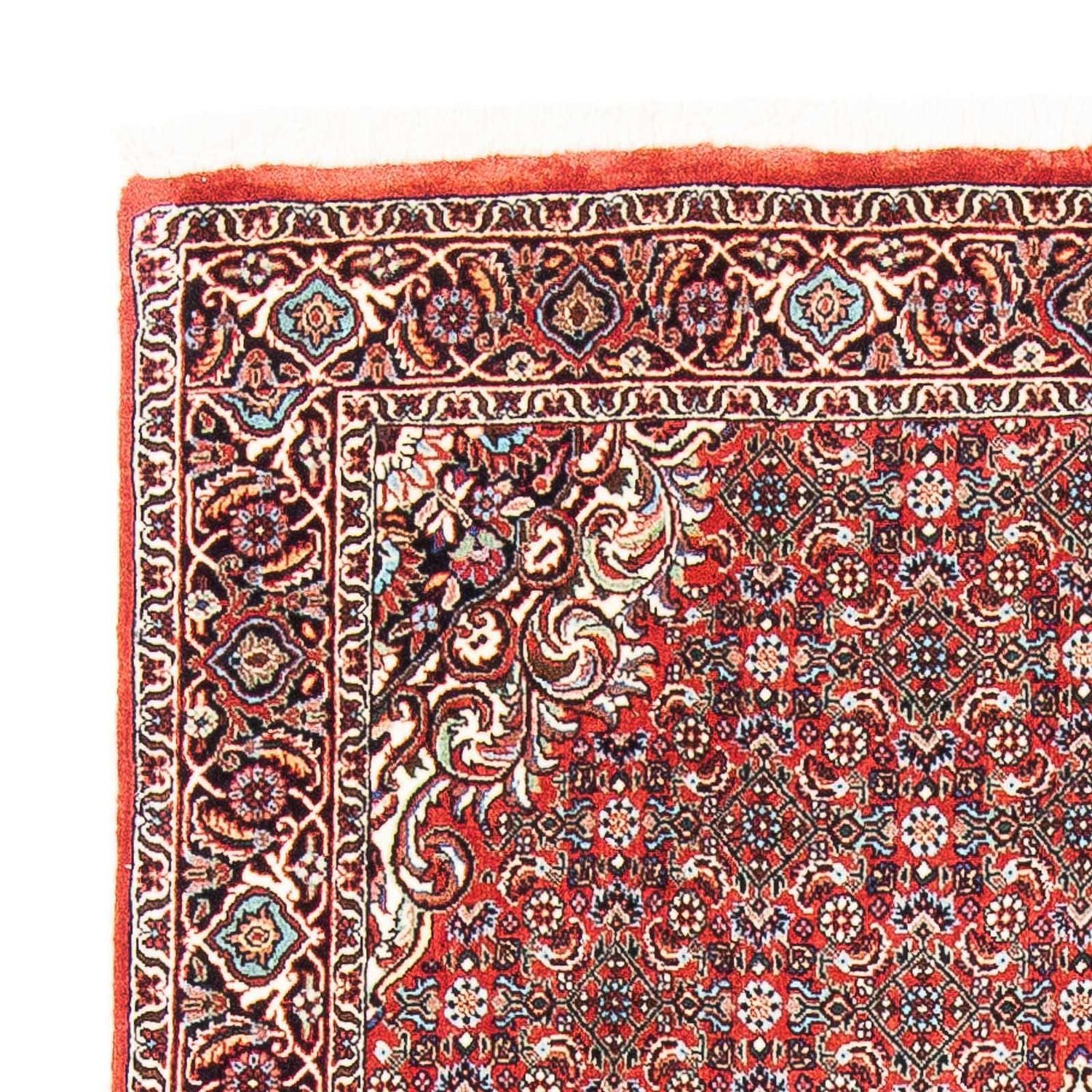 Perserteppich - Bidjar - Royal 169 x 112 cm