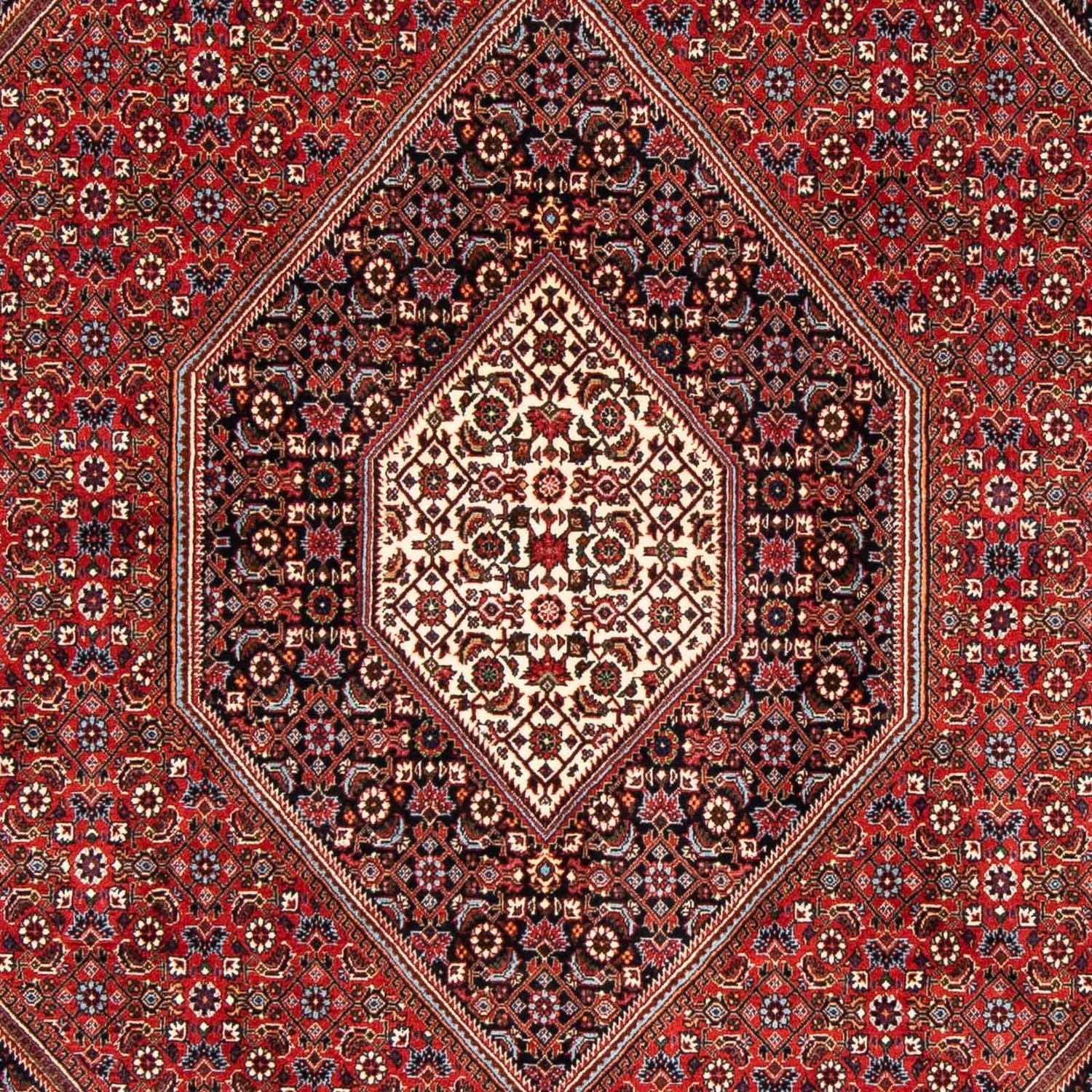 Perserteppich - Bidjar 246 x 170 cm - rost