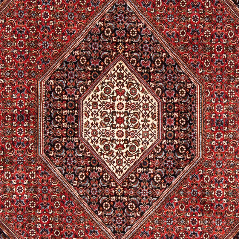 Perserteppich - Bidjar 246 x 170 cm - rost