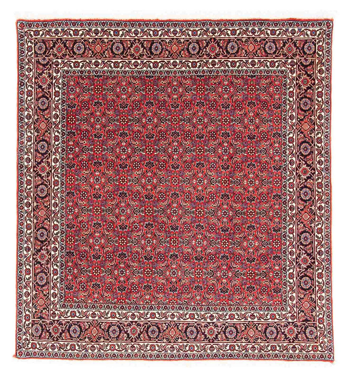 Perserteppich - Bidjar - Royal 126 x 124 cm Teppich Quadratisch