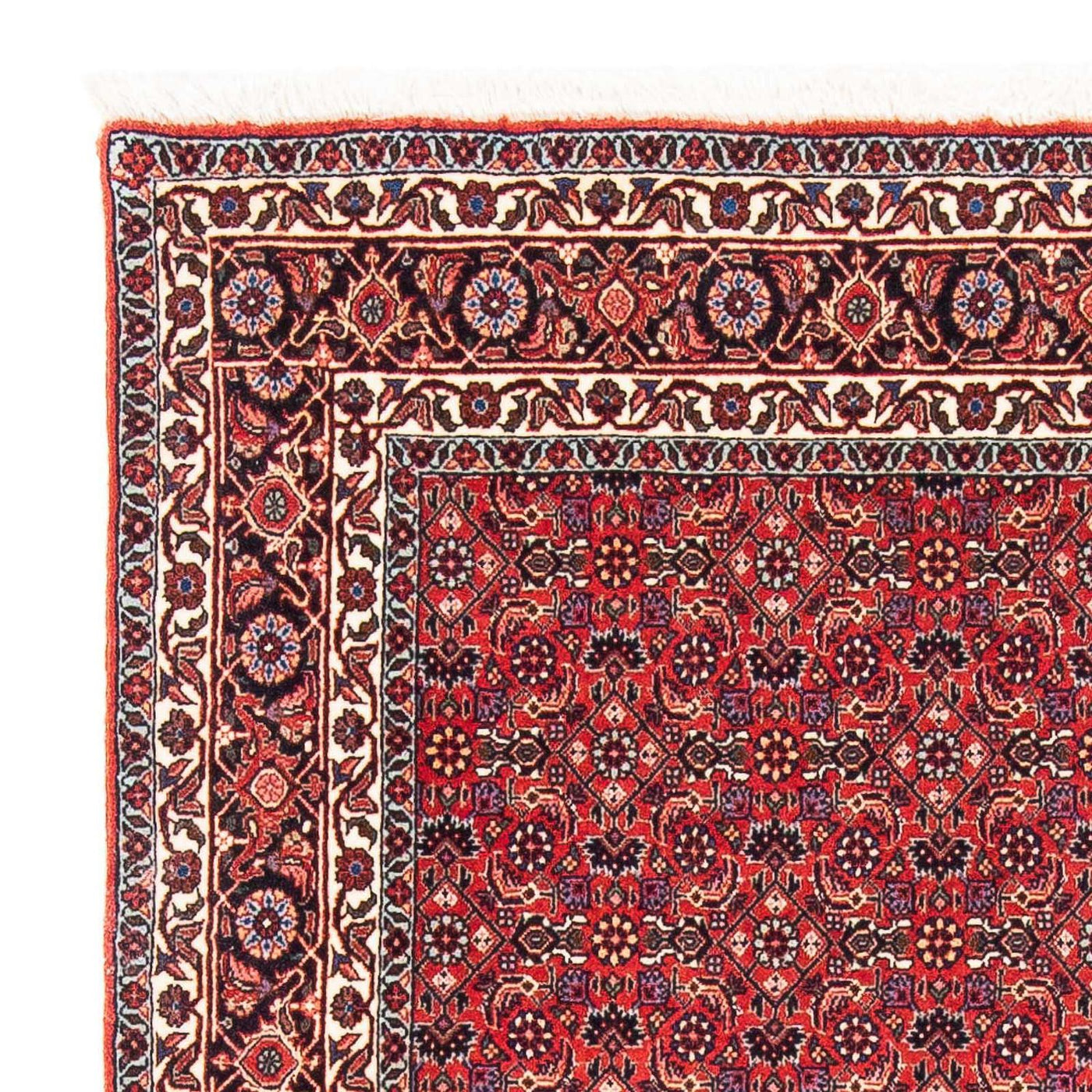 Bidjar Teppich 126x124cm - Perserteppich