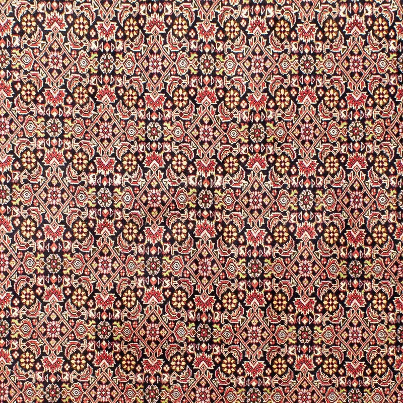 Perserteppich - Bidjar 252 x 173 cm
