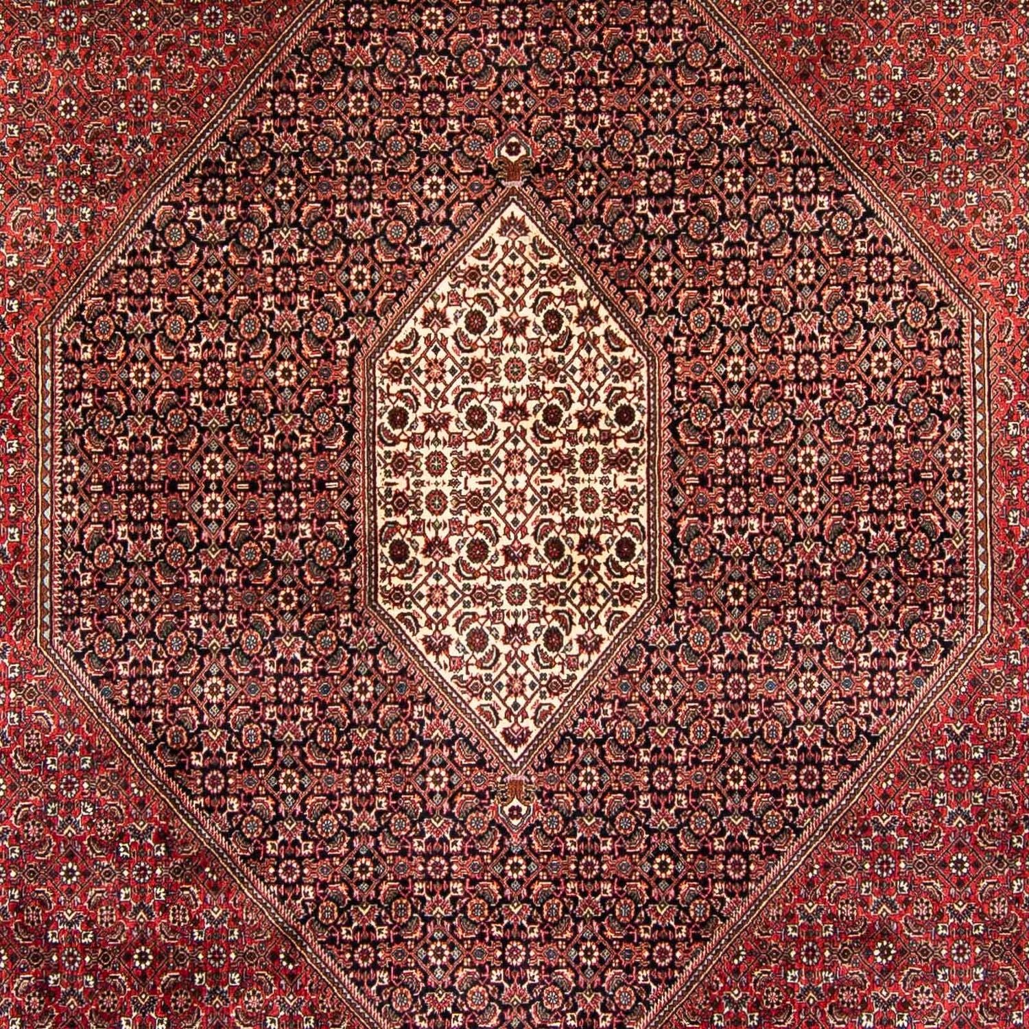 Perserteppich - Bidjar 382 x 249 cm