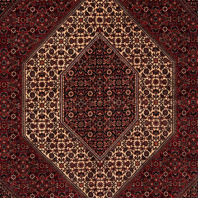 Perserteppich - Bidjar 255 x 202 cm