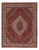 Perserteppich - Bidjar 252 x 205 cm