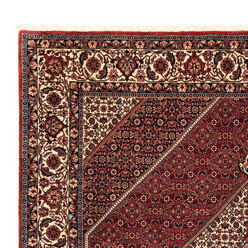 Perserteppich - Bidjar 252 x 205 cm