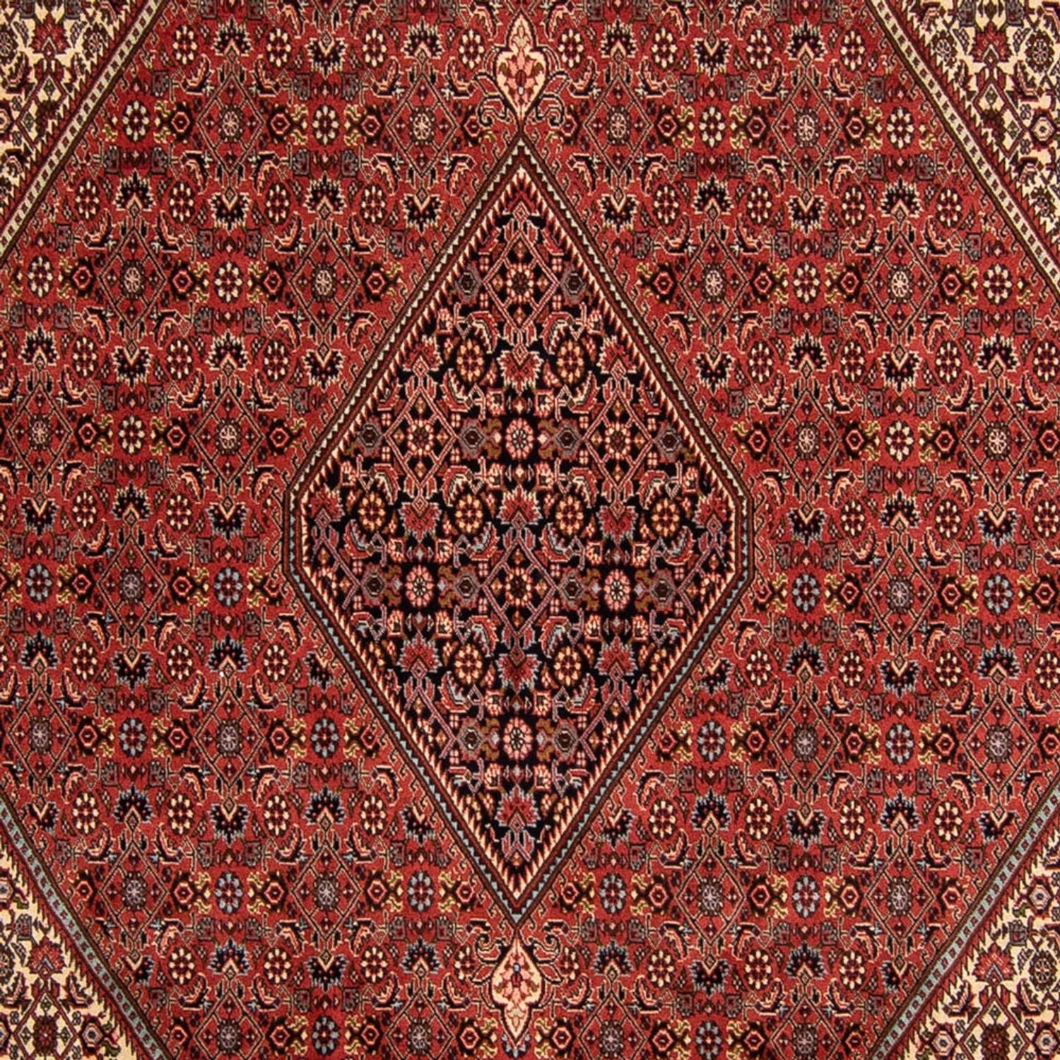 Perserteppich - Bidjar 343 x 250 cm
