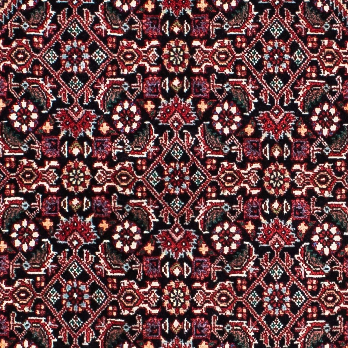 Perserteppich - Bidjar - Royal 210 x 134 cm - hellrot