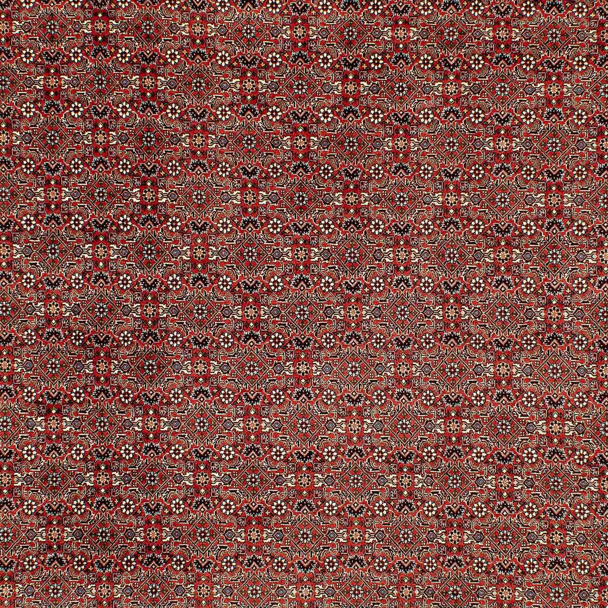 Perserteppich - Bidjar 300 x 206 cm