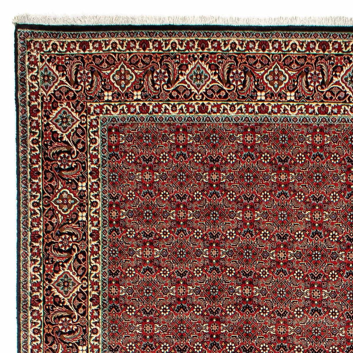 Perserteppich - Bidjar 300 x 206 cm