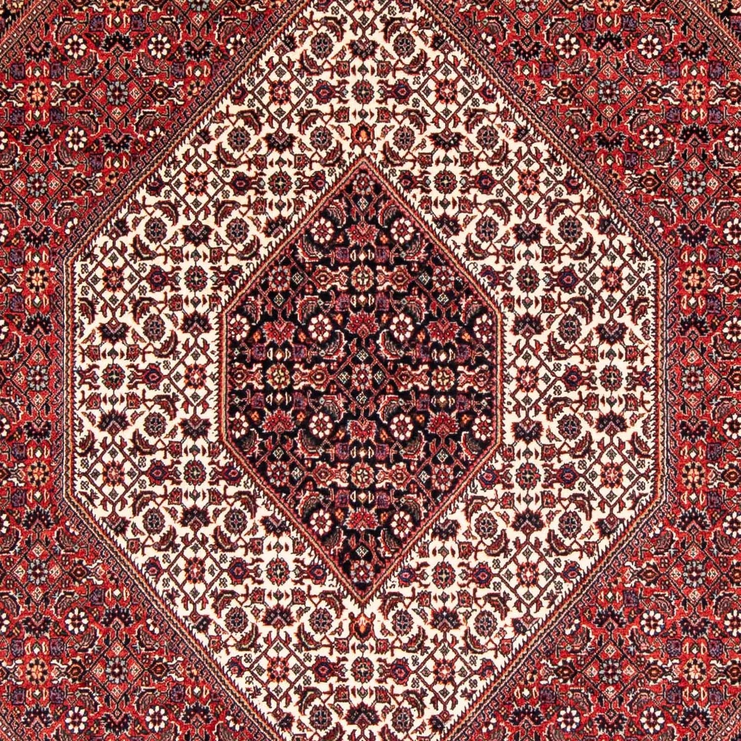 Perserteppich - Bidjar 236 x 169 cm