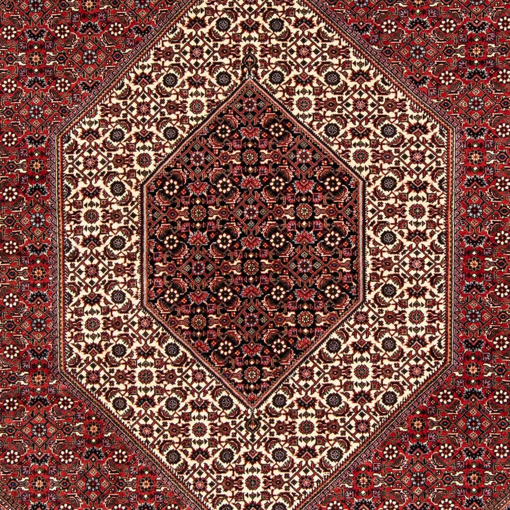 Perserteppich - Bidjar 238 x 175 cm
