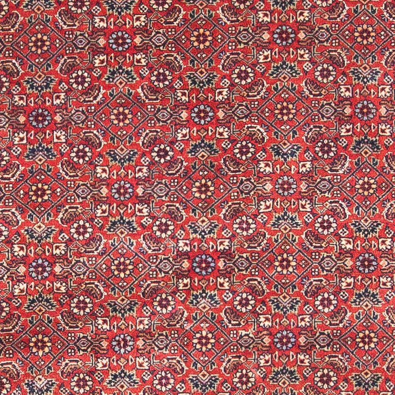 Perserteppich - Bidjar - Royal 162 x 89 cm