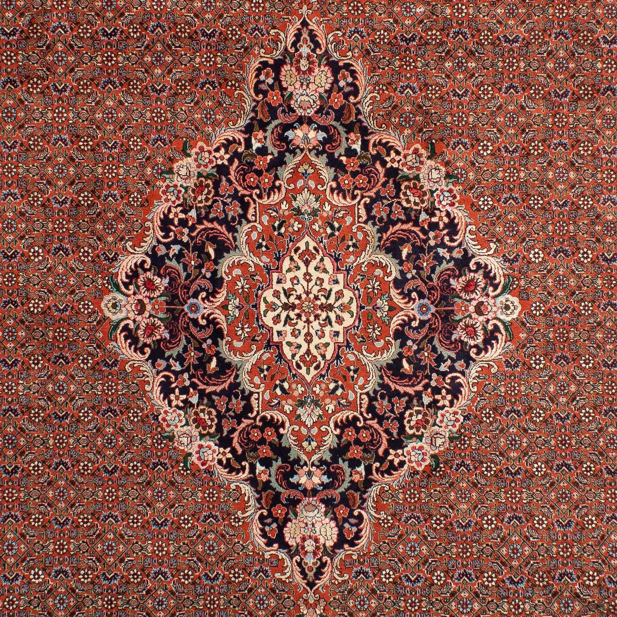 Perserteppich - Bidjar 298 x 203 cm