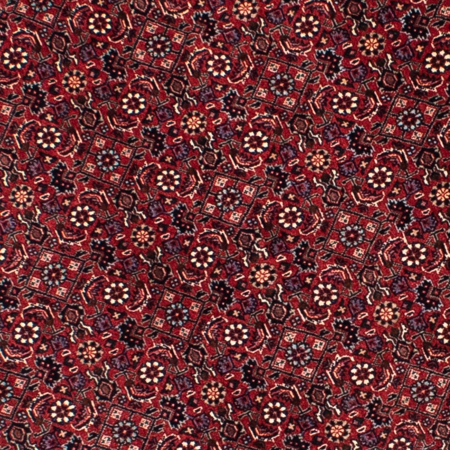 Perserteppich - Bidjar 155 x 155 cm