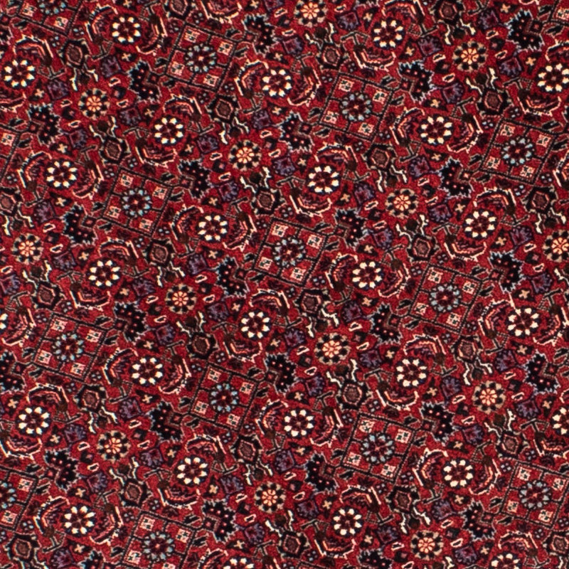 Perserteppich - Bidjar 155 x 155 cm