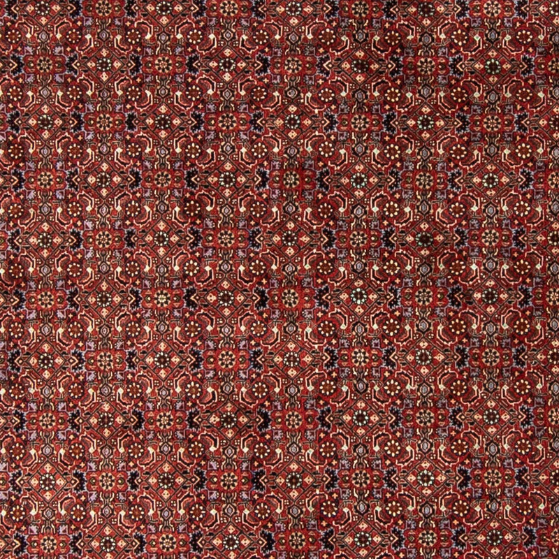 Perserteppich - Bidjar 250 x 250 cm