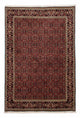 Bidjar Teppich 246x172cm - Perserteppich