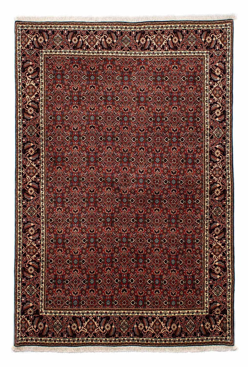 Perserteppich - Bidjar 246 x 172 cm