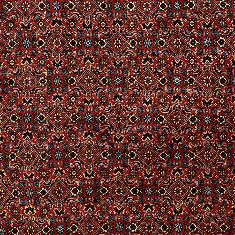 Perserteppich - Bidjar 246 x 172 cm