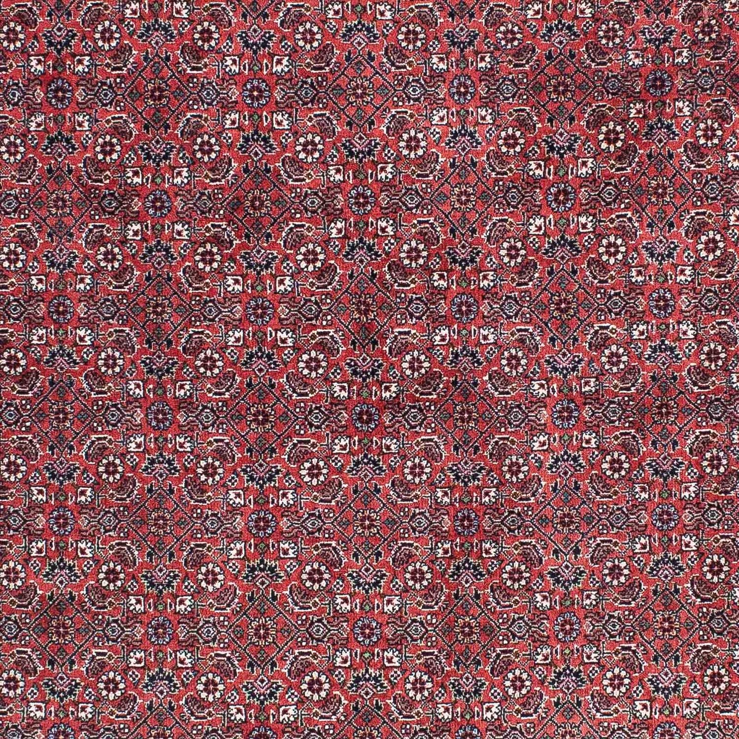 Perserteppich - Bidjar - Royal 204 x 129 cm