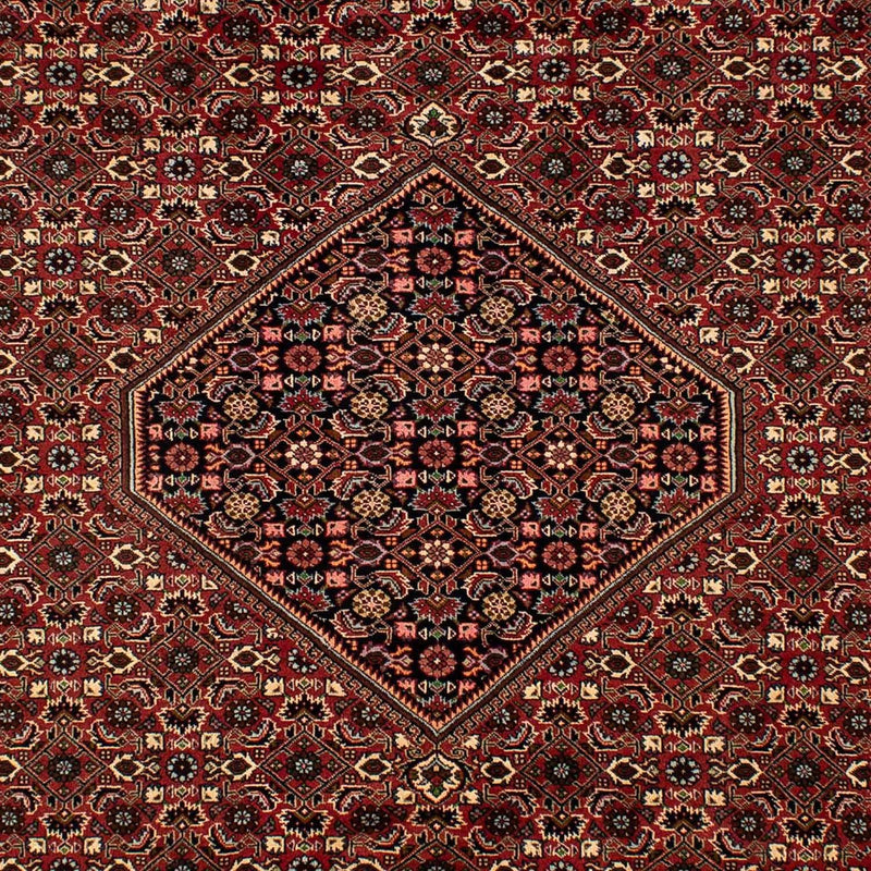 Perserteppich - Bidjar 297 x 202 cm