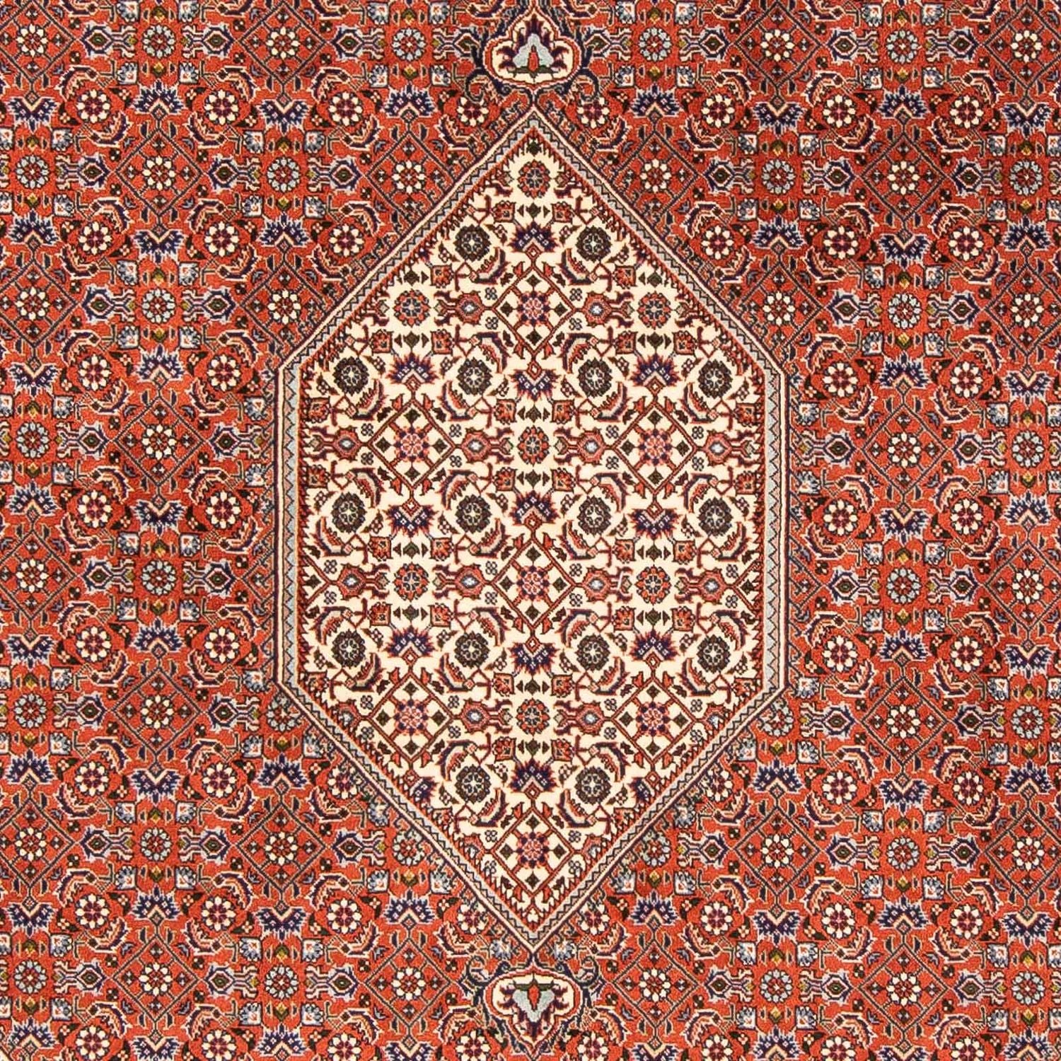 Perserteppich - Bidjar 245 x 167 cm - hellbraun