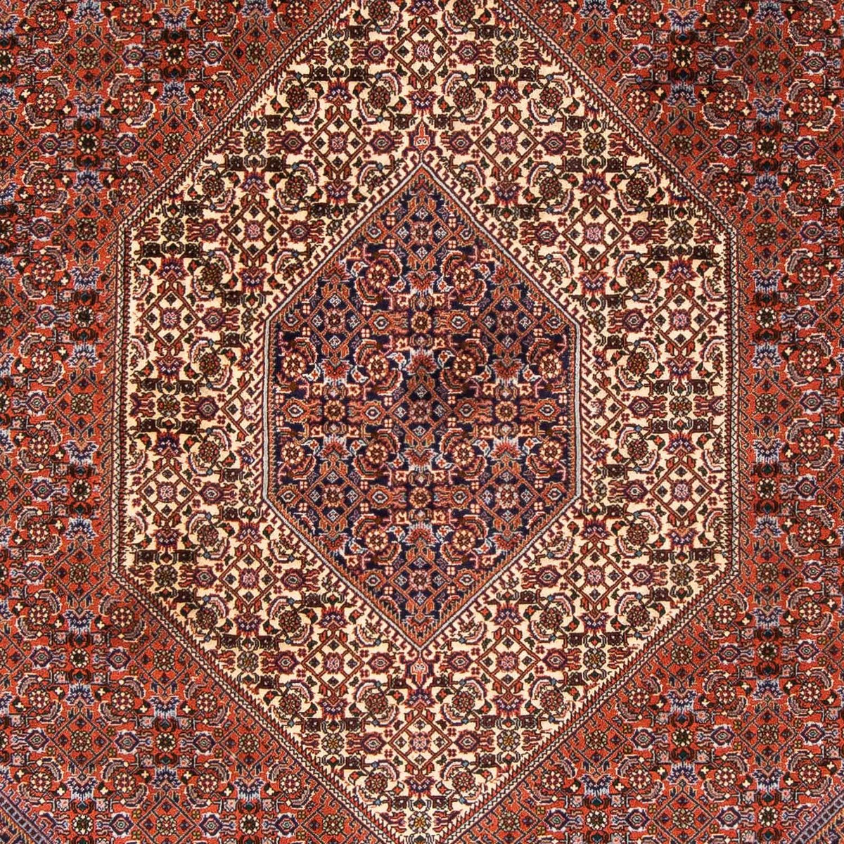 Perserteppich - Bidjar 230 x 166 cm