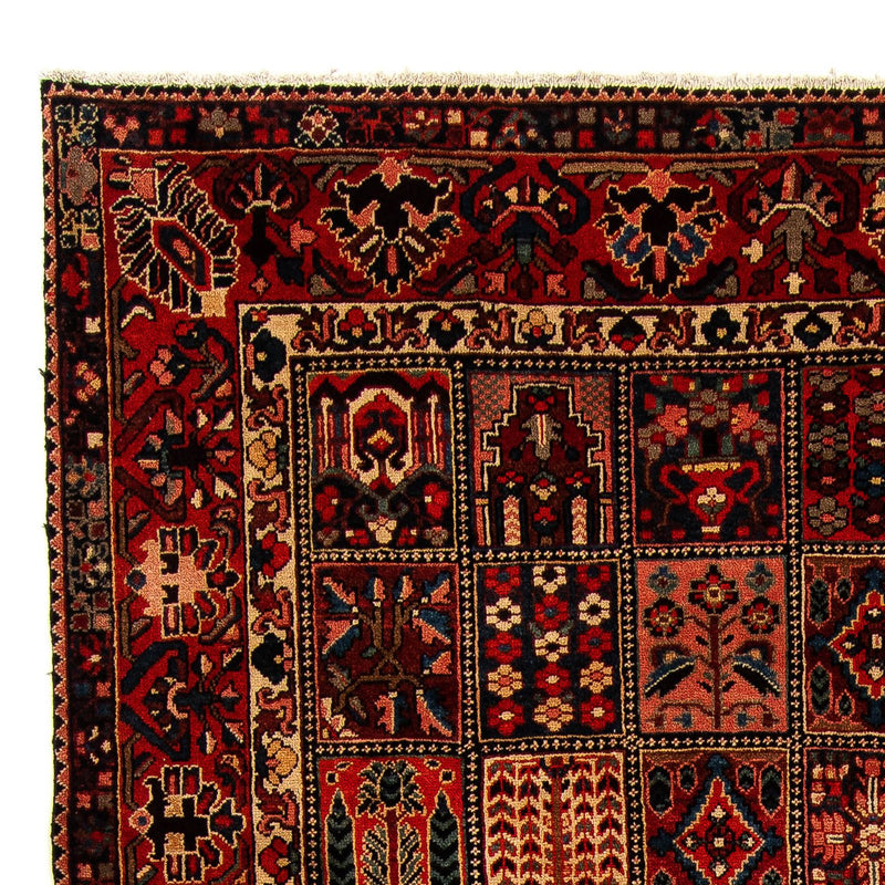 Ziegler Teppich - Bachtiari 351 x 302 cm