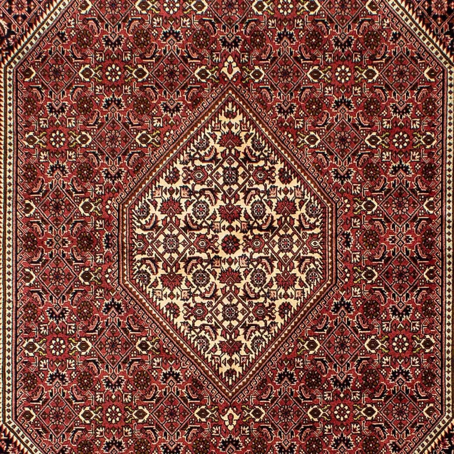 Perserteppich - Bidjar 243 x 167 cm - dunkelrot