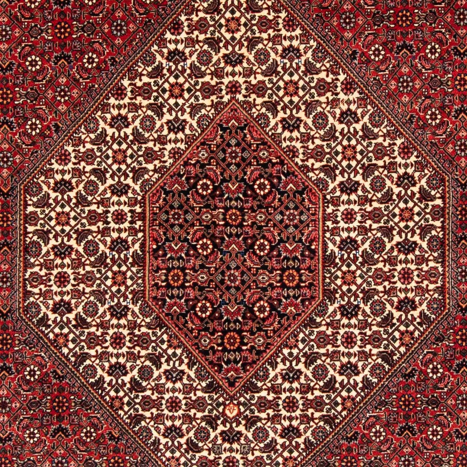 Perserteppich - Bidjar 232 x 153 cm